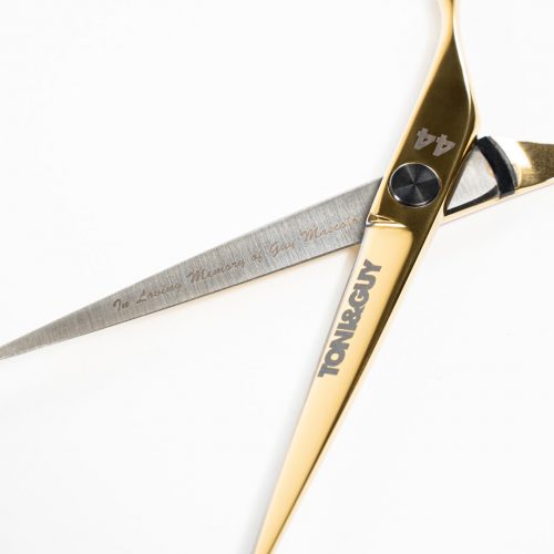 Guy Mascolo 44 Scissor - Limited Edition -